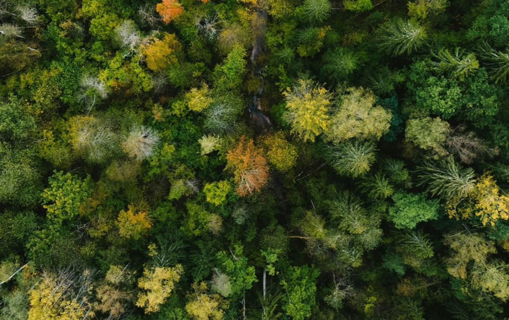Dix-septième édition du rapport ESG de Demea Sustainable Investment