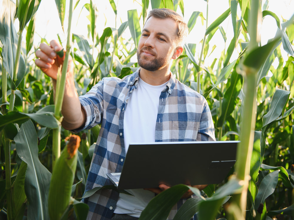 Agriculture